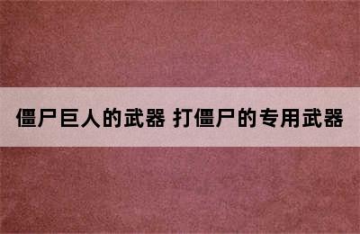 僵尸巨人的武器 打僵尸的专用武器